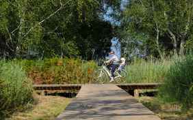 Für jüngere Kinder können Sie Kindersitz oder Anhänger leihen